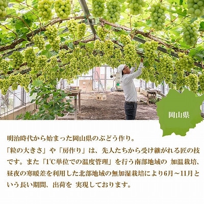 【2025年7月発送】岡山県産　シャインマスカット　晴王　1.5kg(3房～6房)