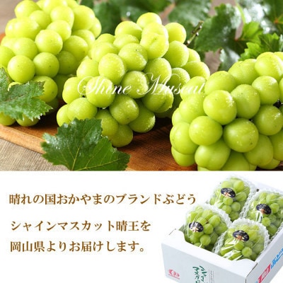 【2025年7月発送】岡山県産　シャインマスカット　晴王　1.5kg(3房～6房)