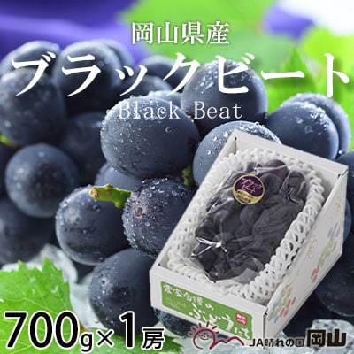 岡山県産　ブラックビート　700g×1房