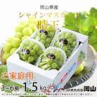【2025年8月より発送】ご家庭用　岡山県産　シャインマスカット　晴王　1.5kg(3～6房)
