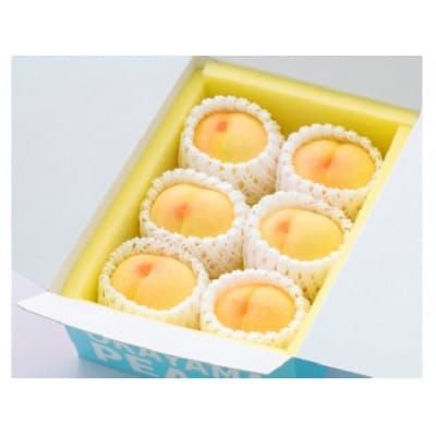 ご家庭用　岡山の白桃(早生種)約1.3kg