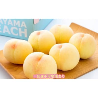 ご家庭用　岡山の白桃(晩生種)約1.5kg