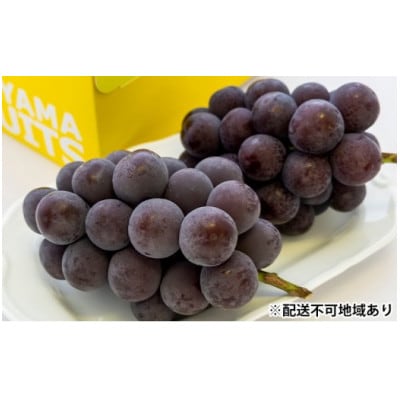 ご家庭用　岡山県産ニューピオーネ(クール便)約1.2kg