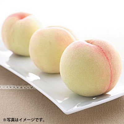 岡山県産　白桃　3玉(クール便)