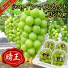 【2025年発送】岡山名産【晴王】シャインマスカット2kg!8月下旬以降順次発送