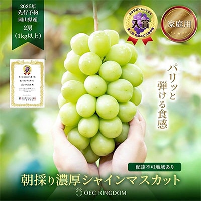 [ご家庭用] シャインマスカット 2房(合計1kg以上) 岡山県産 OEC KINGDOMぶどう家