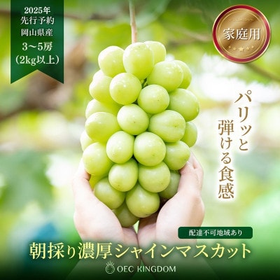 [ご家庭用] シャインマスカット3～5房(合計2kg以上) 岡山県産　OEC KINGDOMぶどう家