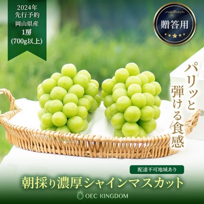 シャインマスカット 1房(700g以上)贈答クラス 岡山県産 OEC KINGDOMぶどう家