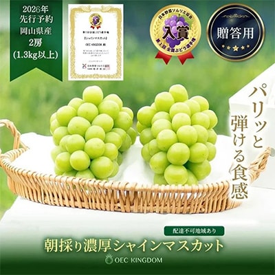 シャインマスカット 2房(合計1.3kg以上)贈答クラス 岡山県産 OEC KINGDOMぶどう家
