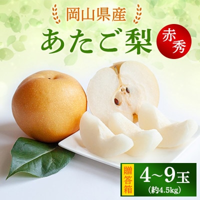 【2025年発送】あたご梨 4.5kg 贈答箱 4～9玉(A45-4-9)