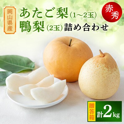 【2025年発送】詰め合わせ 2kg 贈答箱 あたご 1～2玉・鴨梨 2玉(AY-20)