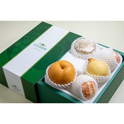 詰め合わせ3kg贈答箱赤秀 あたご1～3玉・鴨梨3～5玉 (AY-30)