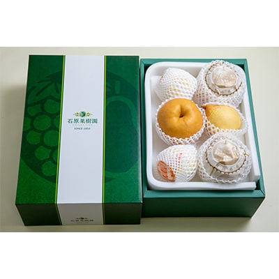 詰め合わせ4kg贈答箱赤秀 あたご2～3玉・鴨梨3～7玉 (AY-40)