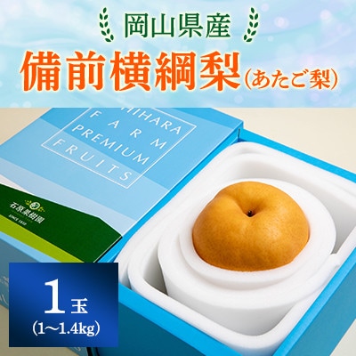 【2025年発送】備前横綱梨 1玉箱 (1～1.4kg玉)(BY1-10)
