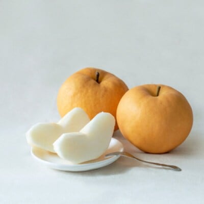 【2025年発送】備前横綱梨 2玉箱 (1～1.4kg玉)(BY2-10)