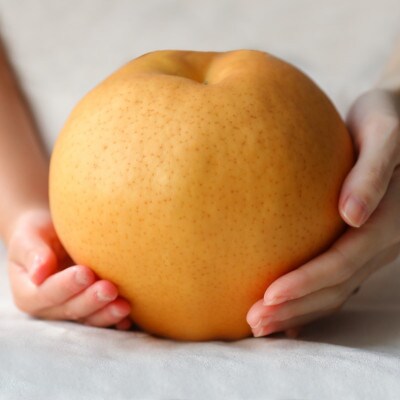 【2025年発送】備前横綱梨 3玉箱 (1～1.4kg玉)(BY3-10)