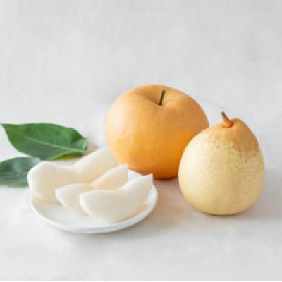 【2025年発送】詰め合わせ2kg箱 横綱梨1玉(1～1.4kg玉)・乙女梨2～3玉(YO2-10)