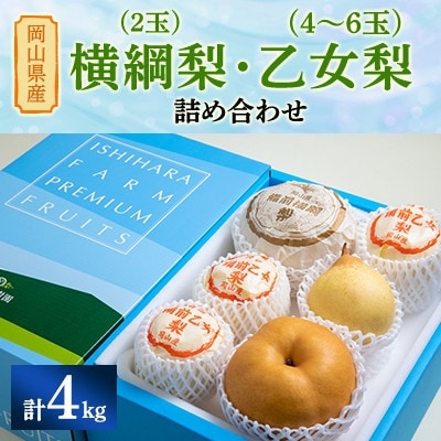 【2025年発送】詰め合わせ4kg箱 横綱梨2玉(1～1.4kg玉)・乙女梨4～6玉(YO4-10)