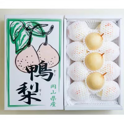 【2025年発送】家庭用 ヤーリー 4kg箱 6～13玉(YR-K)