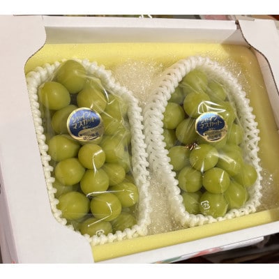 訳アリ家庭用シャインマスカット計1500g糖度18度以上