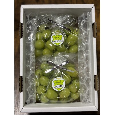 訳アリ　家庭用　糖度18度以上　つみ落としシャインマスカット 計1キロ以上