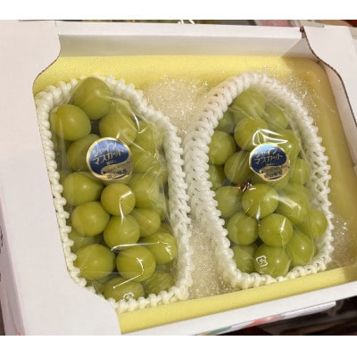 訳アリ　家庭用　糖度18度以上　つみ落としシャインマスカット 計1キロ以上