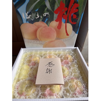 岡山産白桃　ご家庭用　1キロ以上　品種園主お任せ　訳アリ