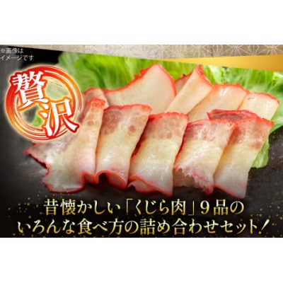 【鯨の町からお届け】くじら 9品(8種)詰め合わせ セット