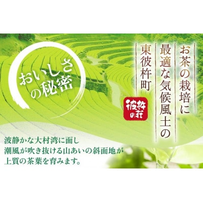 【毎月定期便】そのぎ茶(緑茶)缶290ml×24本全3回