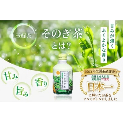 【毎月定期便】そのぎ茶(緑茶)缶290ml×24本全9回