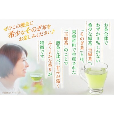 【毎月定期便】そのぎ茶(緑茶)缶290ml×24本全12回