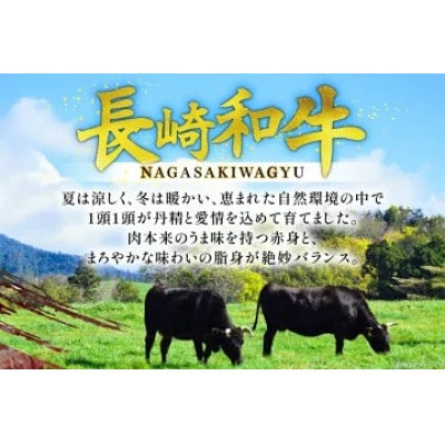 【毎月定期便】長崎和牛　赤身すき焼き　約1kg全6回