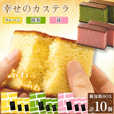 【長崎心泉堂】プリプリ新鮮卵使用!しっとり老舗カステラ<3種(計10個)>詰合【BAC004】