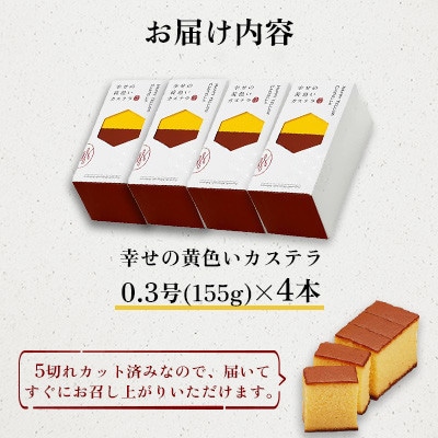 【毎月定期便】【長崎心泉堂】幸せのカステラ0.3号4本セット(プレーン)全6回