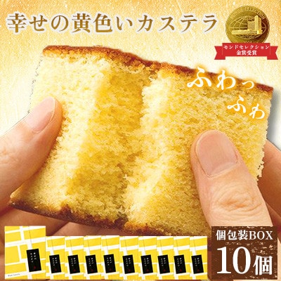 【毎月定期便】【長崎心泉堂】プリプリ新鮮卵使用!しっとり老舗カステラ10個詰合全3回