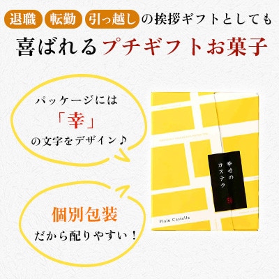 【毎月定期便】【長崎心泉堂】プリプリ新鮮卵使用!しっとり老舗カステラ10個詰合全6回