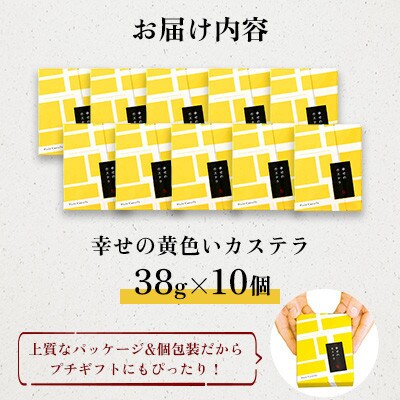【毎月定期便】【長崎心泉堂】プリプリ新鮮卵使用!しっとり老舗カステラ10個詰合全12回
