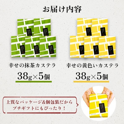 【毎月定期便】【長崎心泉堂】しっとり老舗カステラ<黄色いカステラ5個・抹茶カステラ5個>詰合全12回