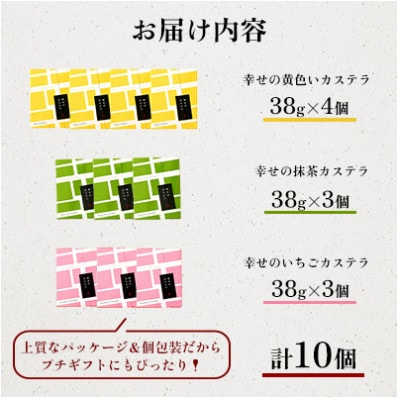 【毎月定期便】【長崎心泉堂】プリプリ新鮮卵使用!しっとり老舗カステラ<3種(計10個)>詰合　全3回