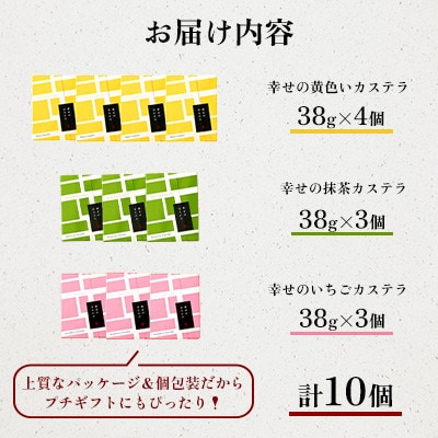 【毎月定期便】【長崎心泉堂】プリプリ新鮮卵使用!しっとり老舗カステラ　3種(計10個)詰合　全12回
