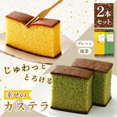 【毎月定期便】【長崎心泉堂】プリプリ新鮮卵使用!しっとり老舗カステラ2本詰合せ　全3回