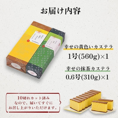 【毎月定期便】【長崎心泉堂】プリプリ新鮮卵使用!しっとり老舗カステラ2本詰合せ　全3回