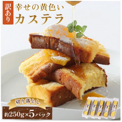 【毎月定期便】【長崎心泉堂】幸せの黄色いカステラ5パック　全6回
