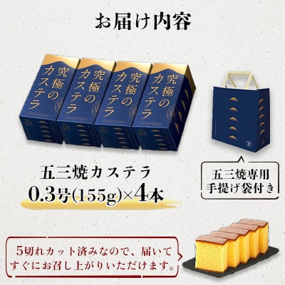 【毎月定期便】【長崎心泉堂】五三焼カステラ0.3号 4本セット　全12回
