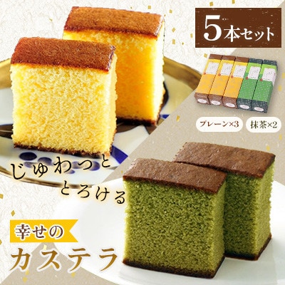 【毎月定期便】【長崎心泉堂】プリプリ新鮮卵使用!しっとり老舗カステラ5本詰合せ　全12回