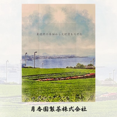 そのぎ茶 《匠》2袋入り【月香園製茶株式会社】(東彼杵町)