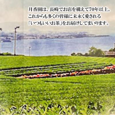 そのぎ茶 ティーバッグ抹茶入り(水出し)3袋入り×2箱セット【月香園製茶株式会社】(東彼杵町)