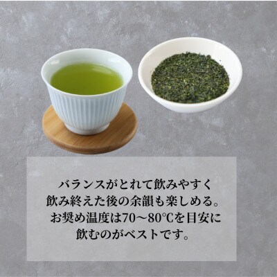 【長崎県優良特産品推奨品】そのぎ茶 (上) 100g×3袋入り