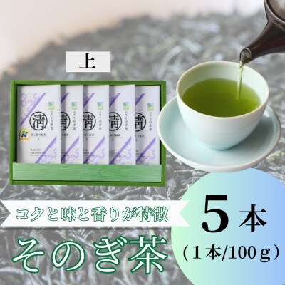 【長崎県優良特産品推奨品】そのぎ茶 (上) 100g×5袋入り