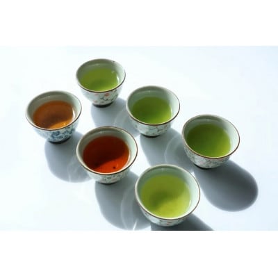そのぎ茶 茶葉ギフト6種セット飲み比べ 総計280g